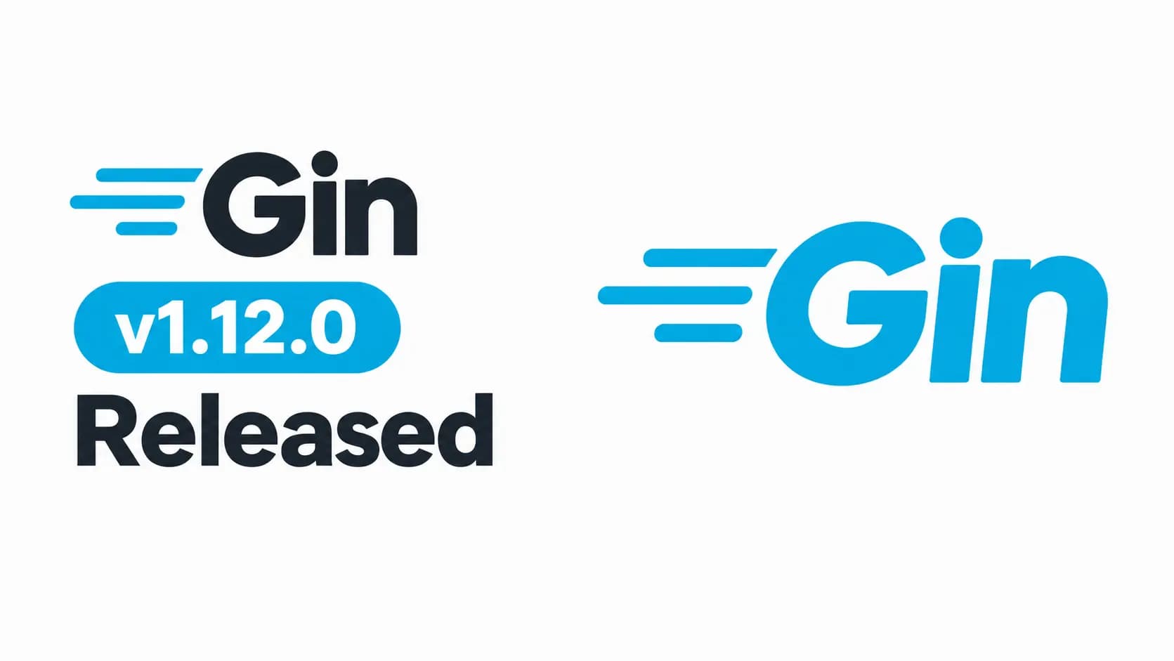 ورژن 1.12.0 Gin منتشر شد نوشته شده توسط ستایش میرجلیلی
